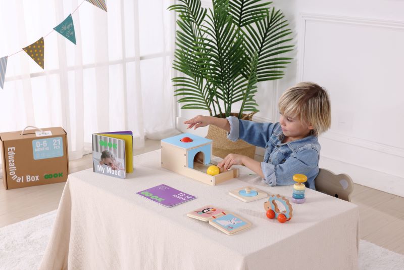 Montessori Educational Box, Babyspielzeug 7-12 Monate, 6 in 1 Lernspielzeug für Kleinkinder - Frühes Lerngeschenk