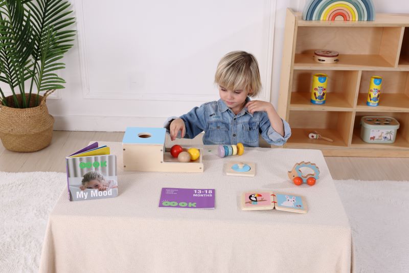 Montessori Educational Box, Babyspielzeug 7-12 Monate, 6 in 1 Lernspielzeug für Kleinkinder - Frühes Lerngeschenk